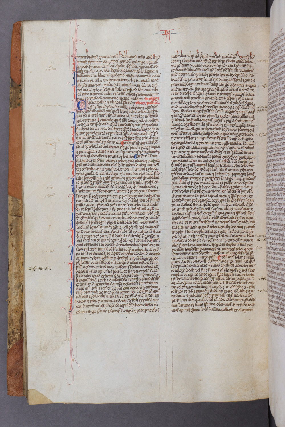 Folio 105 verso